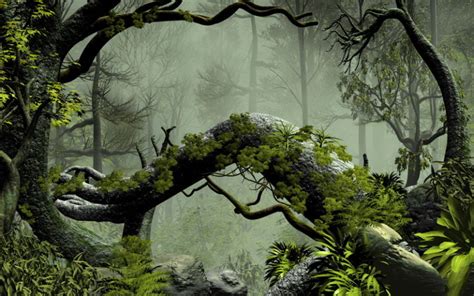 Buttress Root Trees In A Misty Forest 3d Custom Wall