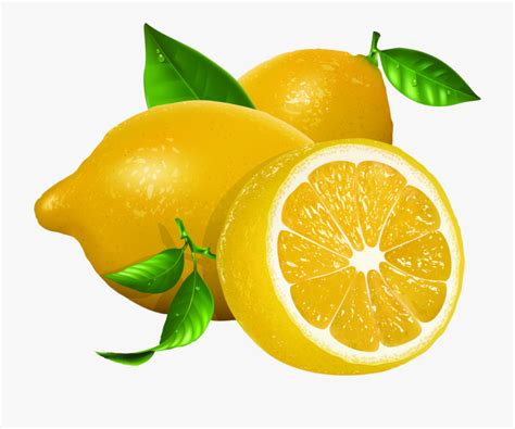 Clipart Lemons 10 Free Cliparts Download Images On Clipground 2023