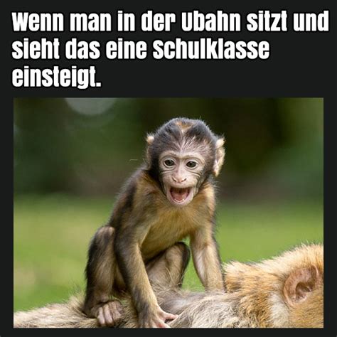 Coole Profilbilder Kostenlos Erste status sprüche zum nachdenken lovefourharmony.