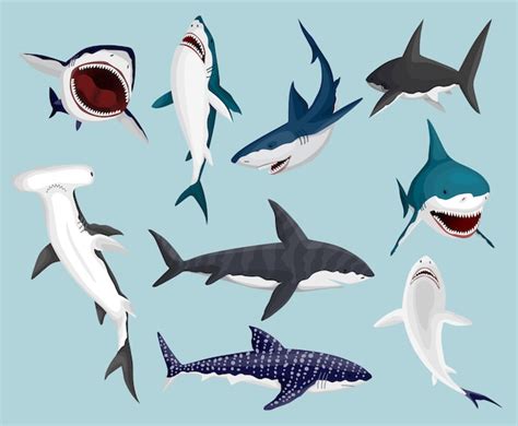 Tiburones De Dibujos Animados Mandíbulas Aterradoras Y Natación De