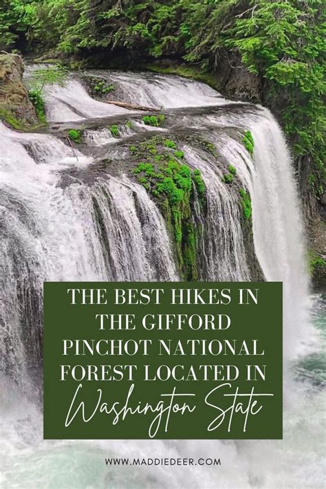 The Best Hikes In The Ford Pinchot National Forest Artofit