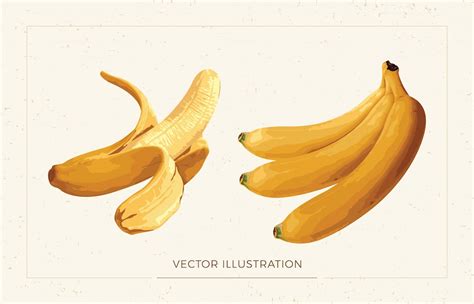 Premium Vector Banana Clip Art