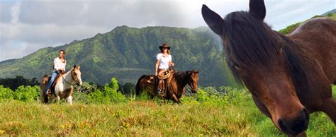 Kauai Horseback Riding Tours Hawaii Discount