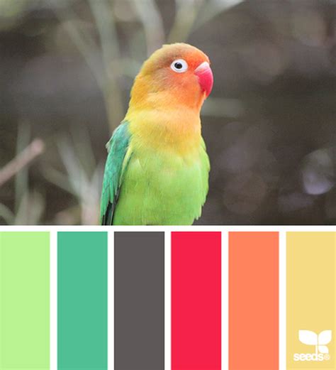 46 Unique Color Palletes Combinations To Inspire You 14 In 2020