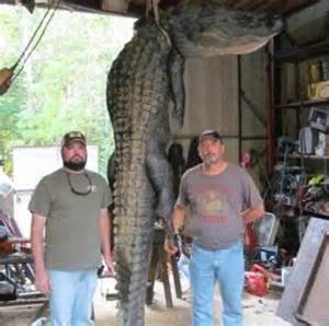 Places near eufaula, al with restaurants with wi fi. Cousins battle for 12 hours to land 13-foot, 656lb ...