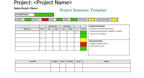 Get Project Summary Template Microsoft Excel Templates