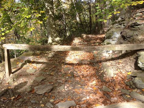 The Question World: Thoughts On Writing in the 21st Century