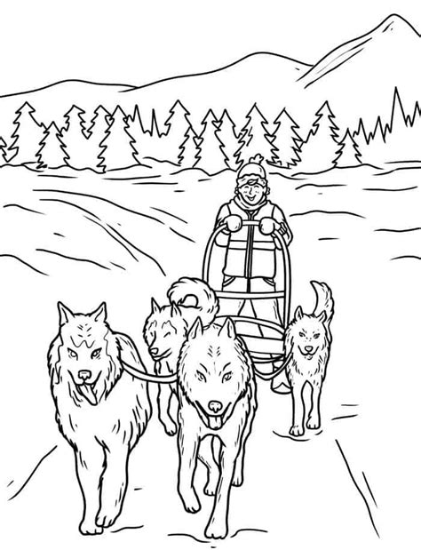 Dog Sled Coloring Pages Dog Coloring Page Puppy Coloring Pages Dog