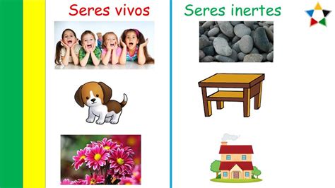 Seres Vivos E Inertes Youtube