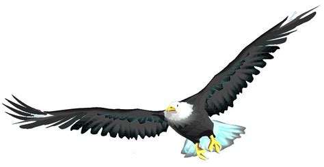 Cartoon Eagle Flying