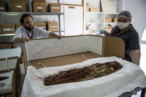 Scans Unveil Secrets Of Worlds Oldest Mummies The Archaeology News