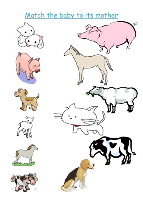 Match The Mother Animal To Its Babies Worksheet By Groove