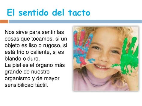 El Sentido Del Tacto Para Niños Blog De 1º De Infantil Del Ceip