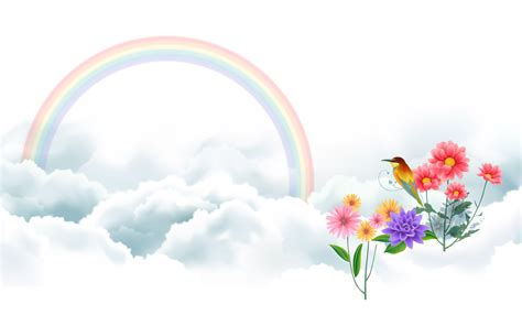 Bird Rainbow Facebook Covers Wallpapers Hd