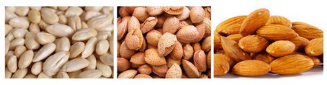Everything You Need To Know About Types Of Almonds