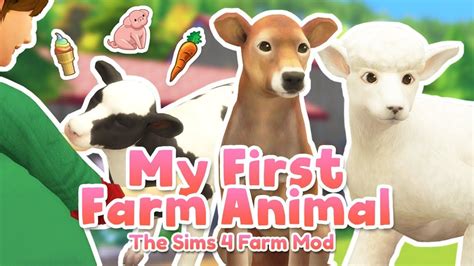 My First Farm Animal ♡ The Sims 4 Farm Mod By Kawaiistacie Sims 4
