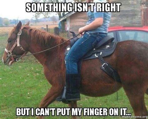 Pin By Fau Feldman On Horses Funny Horse Memes Horse Quotes Funny