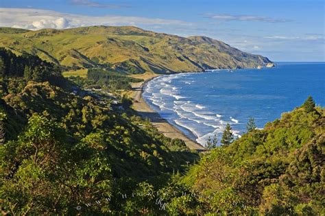 New Zealand South Island East Coast Beach Photo Information