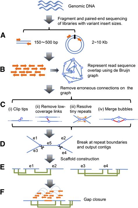De Novo Assembly Of Human Genomes With Massively Parallel Short Read
