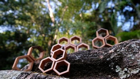 Hexagons In Nature 🐜 Youtube