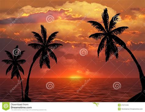 Palm Trees Silhouette At Sunset Stock Image Image Of