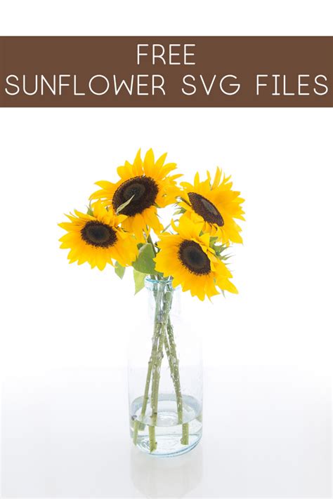 Sunflower SVG Free {Free Sunflower SVG Files for Your Cutting Machine