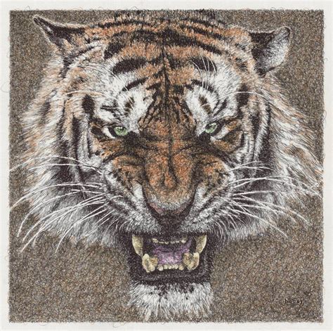 Snarling Tiger By Boc J On Deviantart