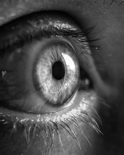 Grayscale Close Up Photo Of Human Eye · Free Stock Photo
