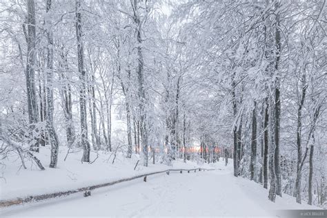 Schauinsland Winter Path Black Forest Germany Mountain Photography