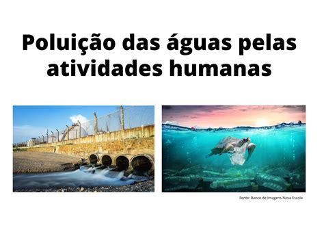 Impacto Das Atividades Humanas 3 Ano
