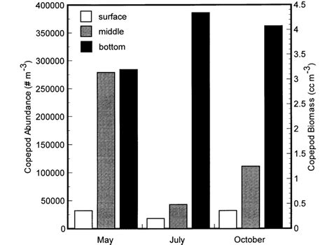 Abundance Of Adult Copepods In Surface 1 M Middle 5 M And Bottom Download Scientific