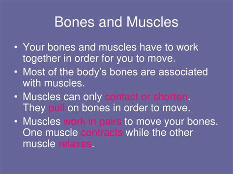 Ppt How Do Bones And Muscles Work Together Powerpoint Presentation