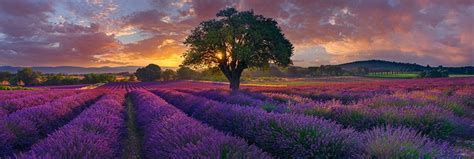 Photographer Peter Lik Unveils A Morning In France At