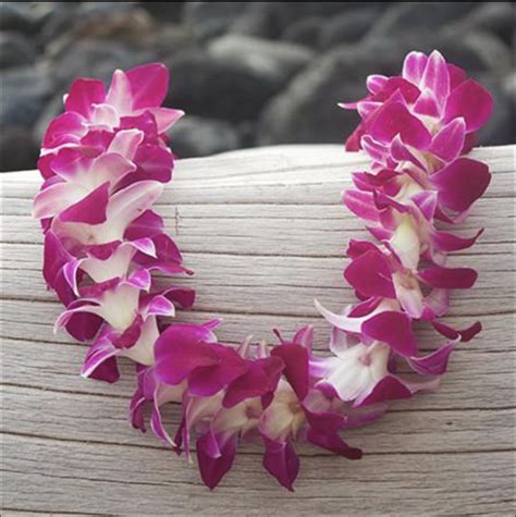 Fresh Hawaiian Orchid Leis Cheap Flower Leis Shipped From Hawaii