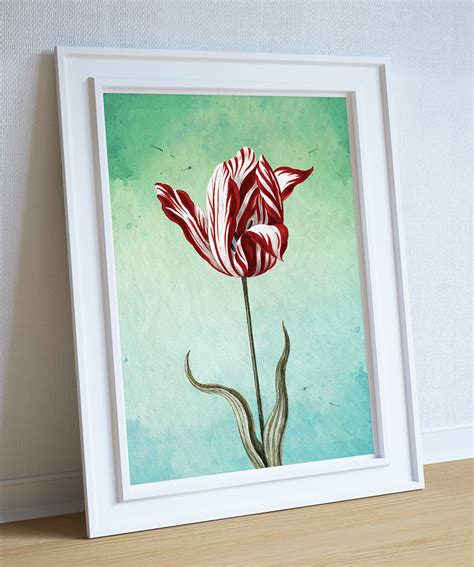 Tulip Print Tulip Art Botanical Print Flower Tulips Decor