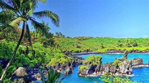 tropical water, Tropical forest, Hawaii, Isle of Maui, Maui, Palm trees ...