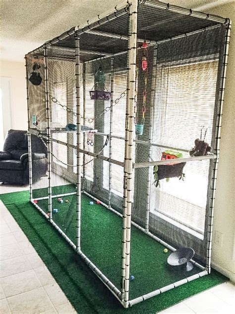A cage my dad and i built. DIY Walk-in Cage | Sugar glider cage, Sugar glider, Flying ...