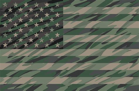 Patriotic Jungle Green Camo Usa Flag Vector Illustration 602242 Vector
