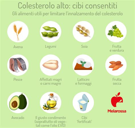 Dieta Para El Colesterol Alto Como Funciona Que Comer Y Que Evitar