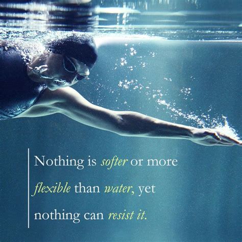 Incredible Inspirational Swimming Quotes From Famous Swimmers Women Ideas Quotes