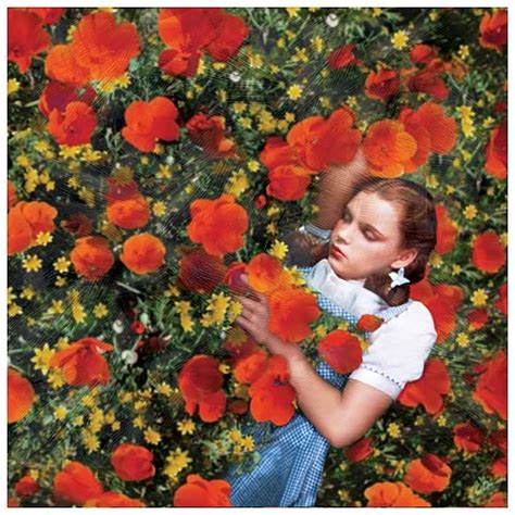 Wizard Of Oz Dorothy Poppies Canvas Art Entertainment Earth