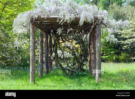 Wisteria Pergola Hi Res Stock Photography And Images Alamy