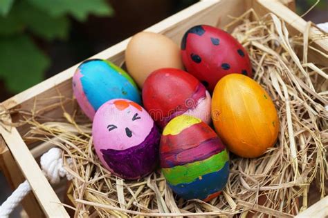 Concept Colorful Fancy Easter Eggs In Wooden Box Stock Image Image Of Garden Draw