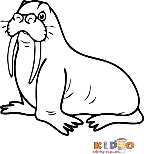 Walrus Pages To Color For Kids Kids Coloring Pages