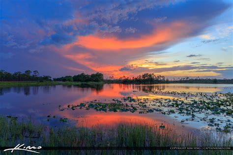 Martin County Wetland Sunset Royal Stock Photo