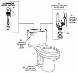 Pictures of Toilet Repair Parts American Standard