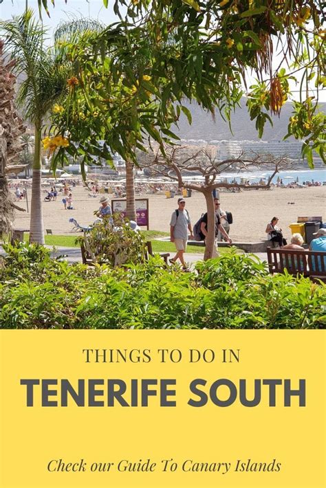 15 Best Things To Do In Tenerife South Beach Tours Activities