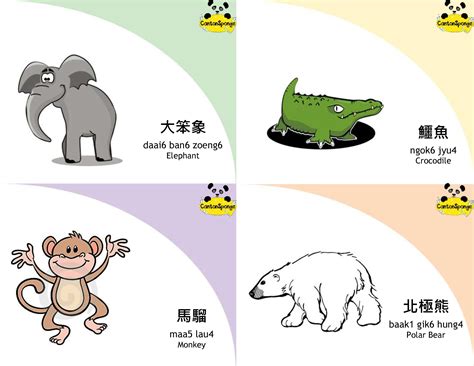 Bilingual Chinese English Vocabulary Flashcards Of Zoo Animals