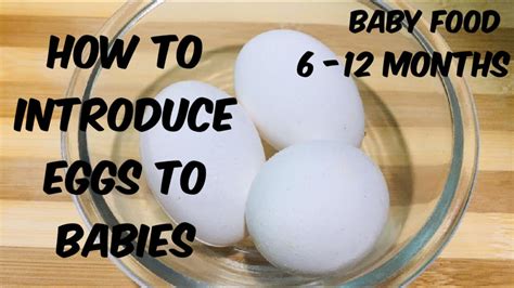 How To Introduce Egg To Babiesbaby Food 6 To 12 Months Baby Food