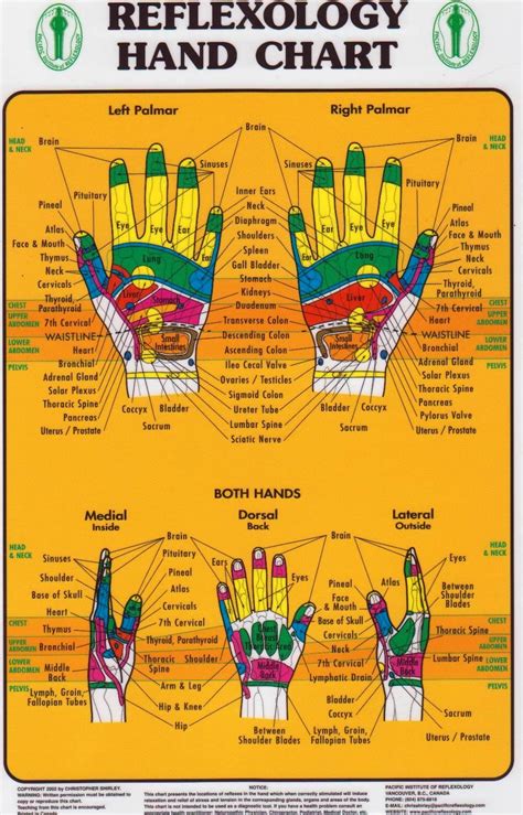 Hands On Hand Reflexology Reflexology Chart Reflexology Hand Chart